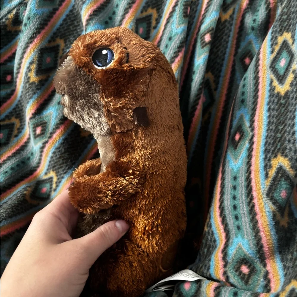 Disney Parks Finding Dory Sea Otter BNWOT A00314 - Picture 7 of 10